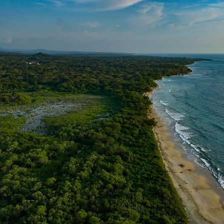 Beach Walk Costa Rica Bãi biển Bãi biển Playa Avellana Ngoại thất bức ảnh