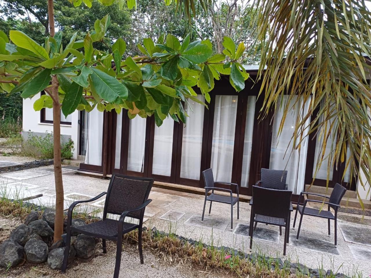 Beach Walk Costa Rica Bãi biển Bãi biển Playa Avellana Ngoại thất bức ảnh