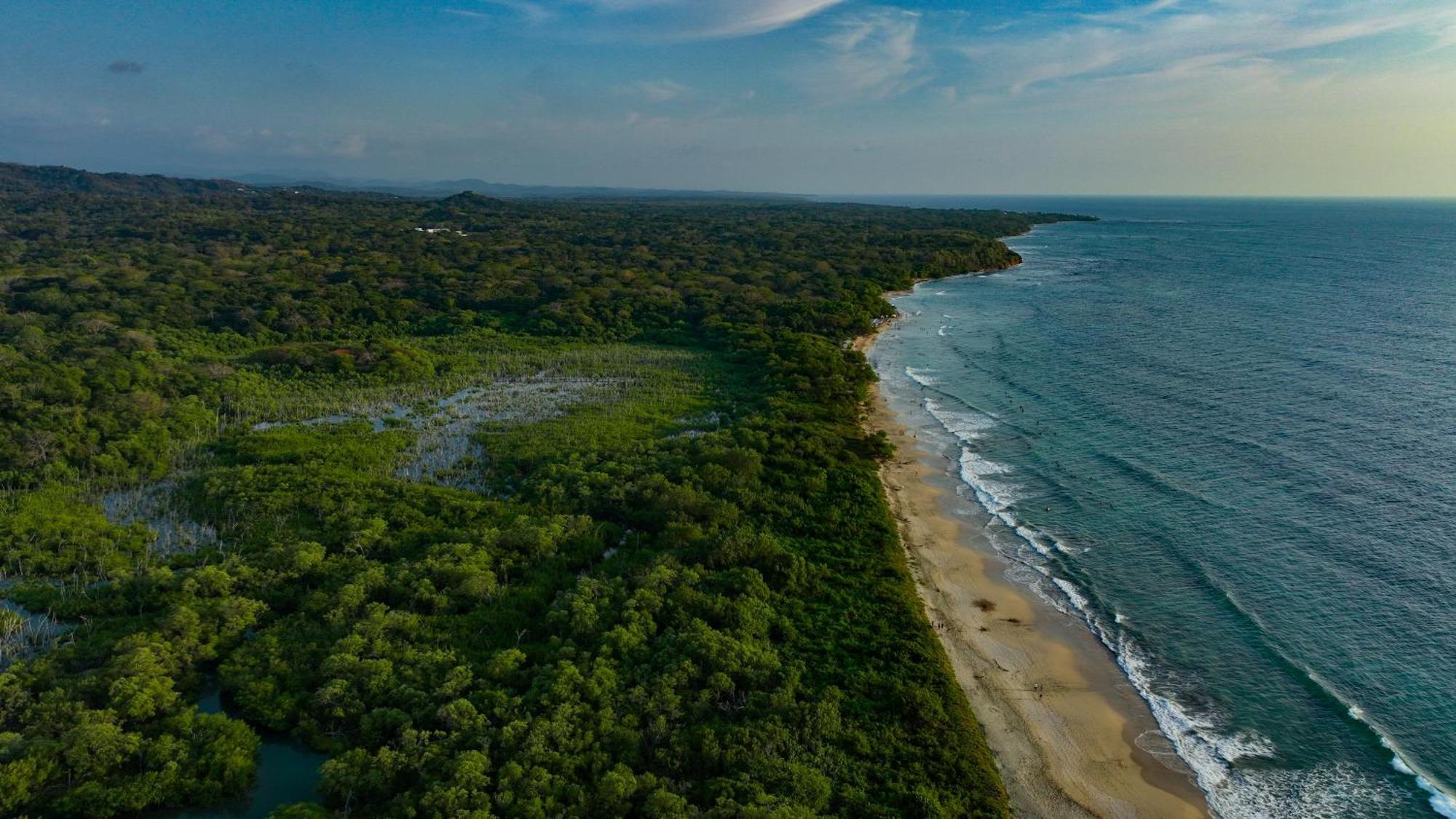 Beach Walk Costa Rica Bãi biển Bãi biển Playa Avellana Ngoại thất bức ảnh